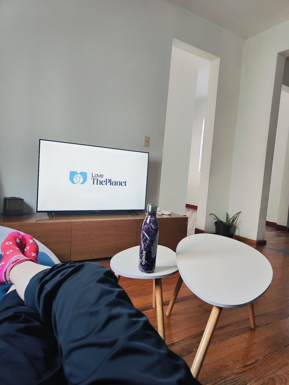 Casa Lumo Serviced Apartments gallery 6