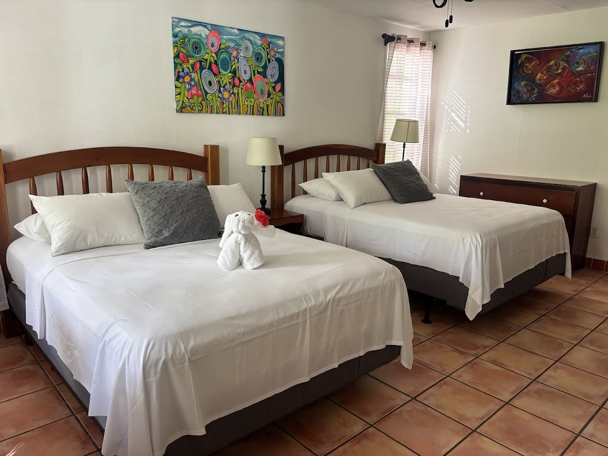 Iguana Reef Inn gallery 2