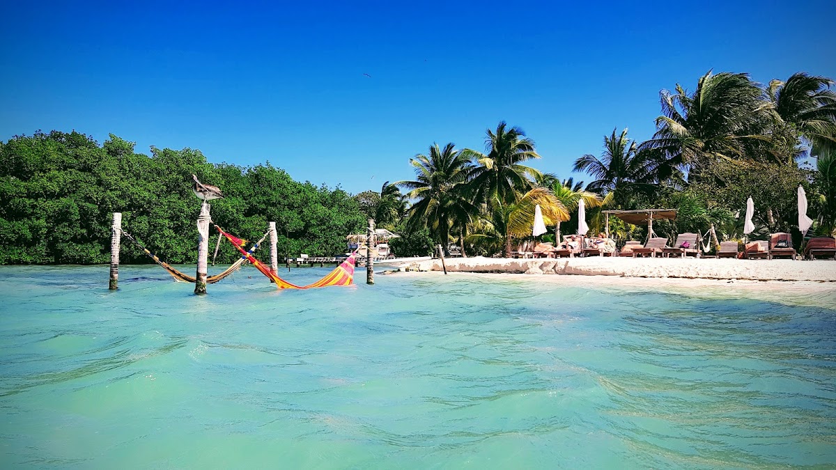 Iguana Reef Inn gallery 3
