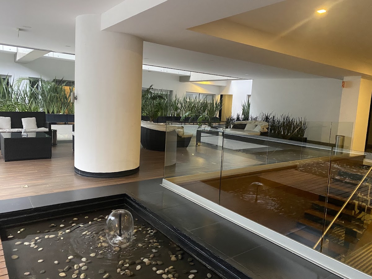 Alure Condesa gallery 5