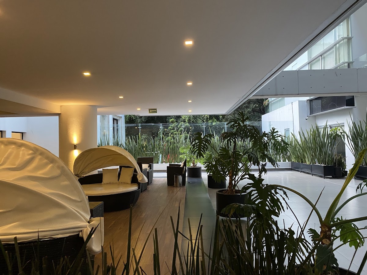 Alure Condesa gallery 10