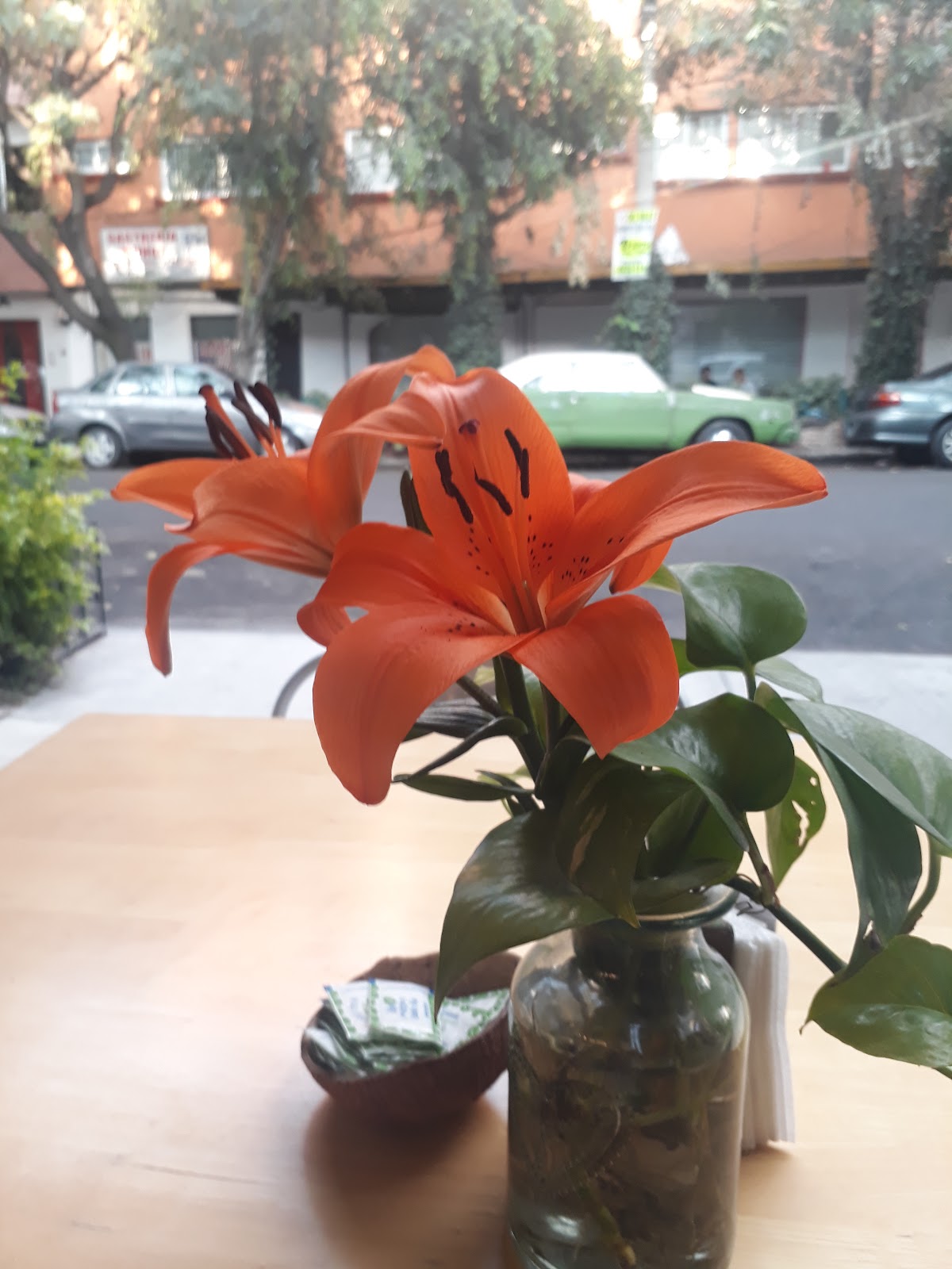 SUITES CONDESA gallery 4