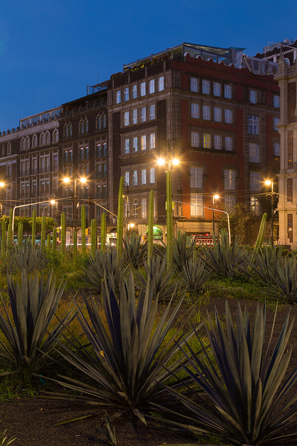 Zócalo Central Hotel gallery 7