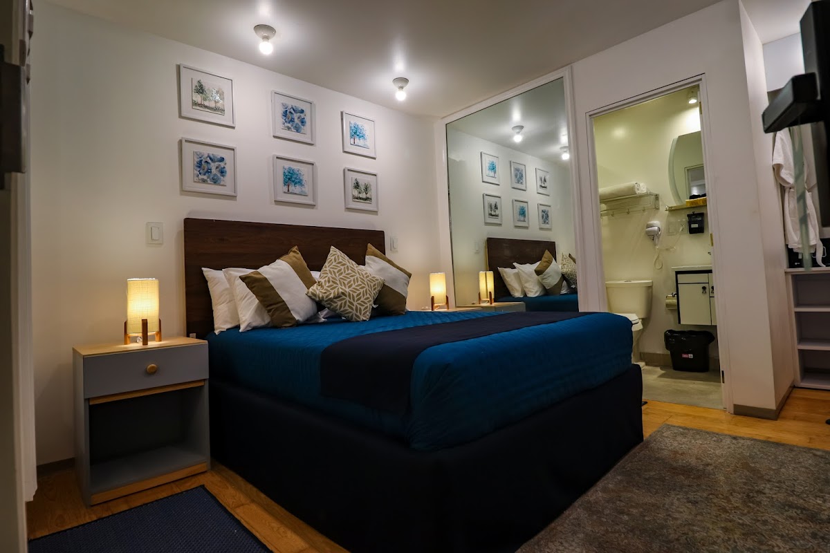 HOTEL BOUTIQUE EMMA CDMX gallery 3