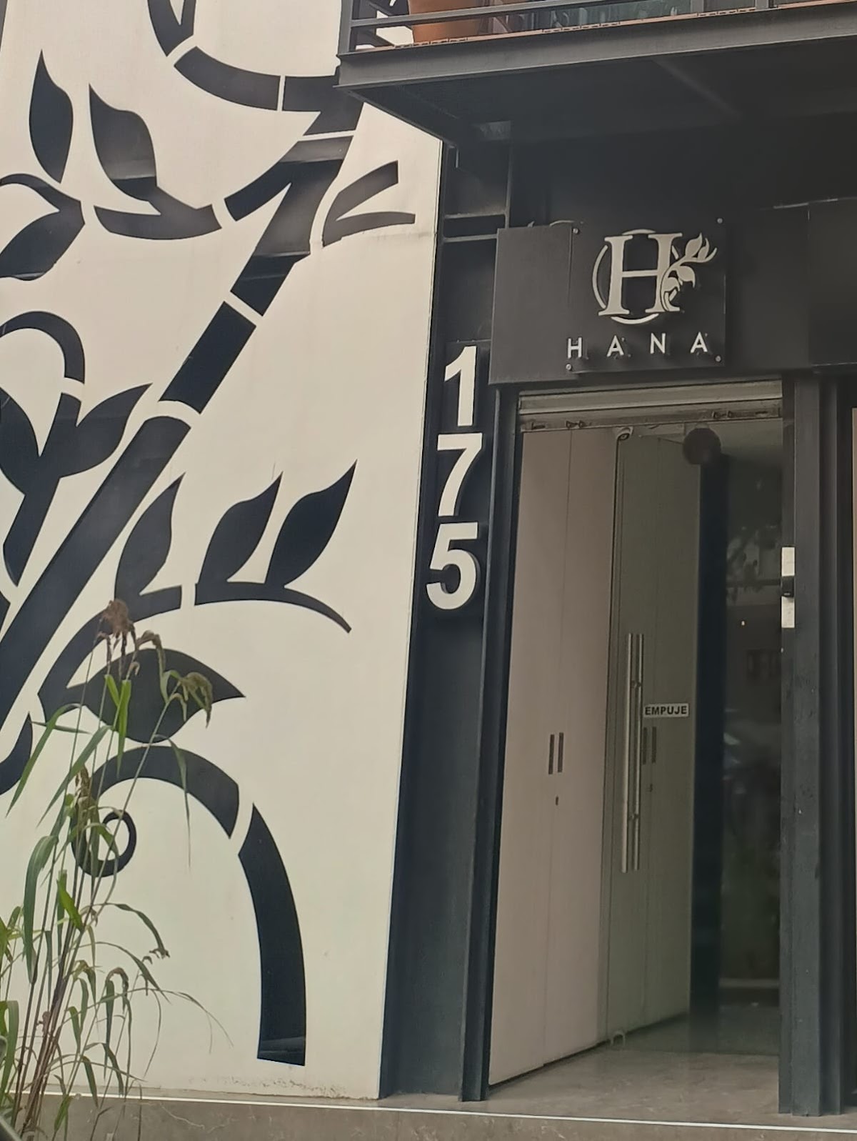 Hana 175 gallery 7