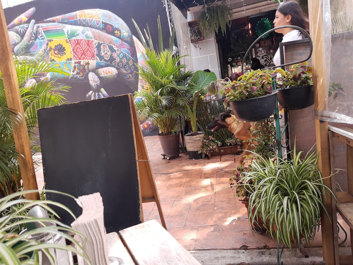 Hotel Campeche SA de CV gallery 4