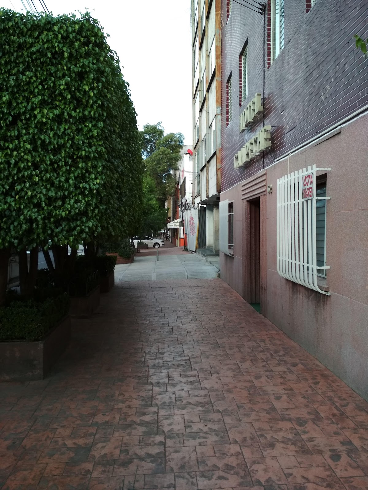 Hotel Campeche SA de CV gallery 10