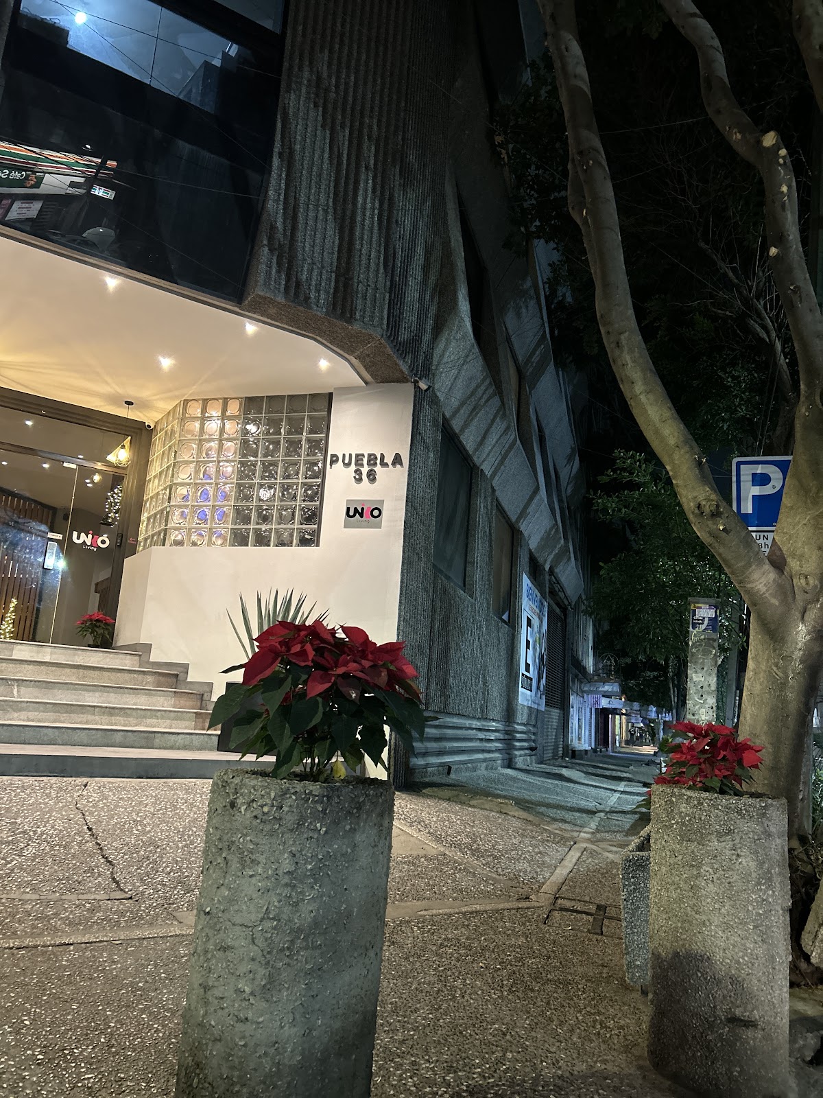 Hotel Puebla gallery 8