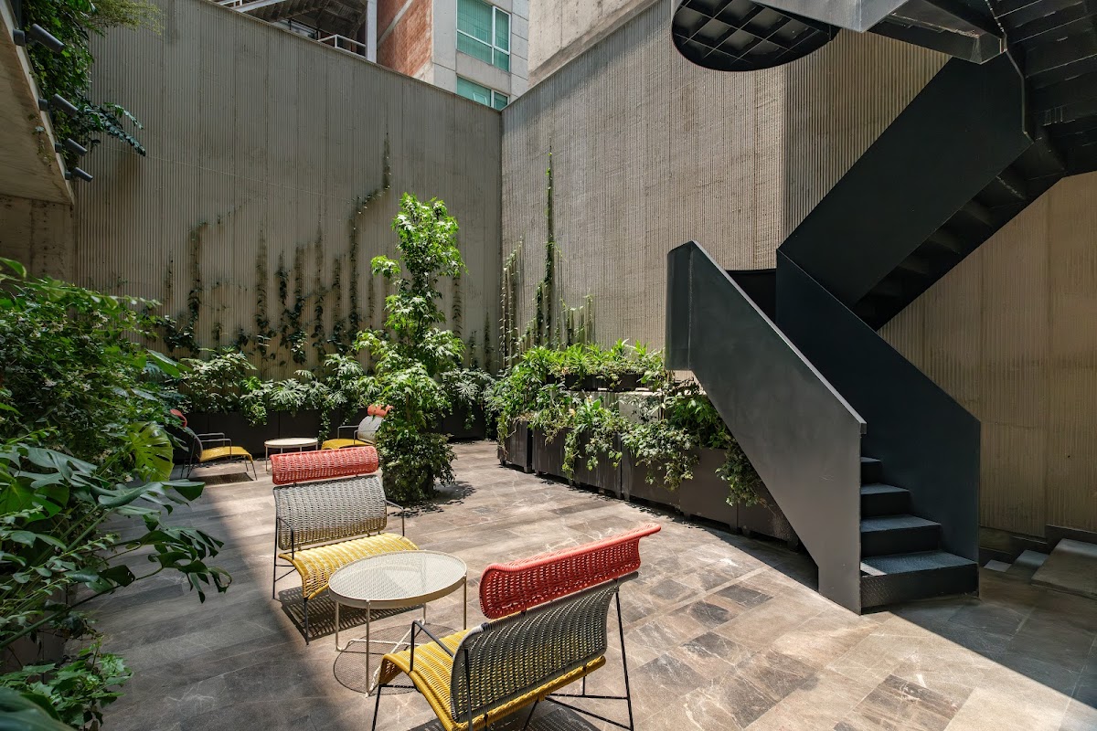 Nomu Mexico City by Lumina gallery 7