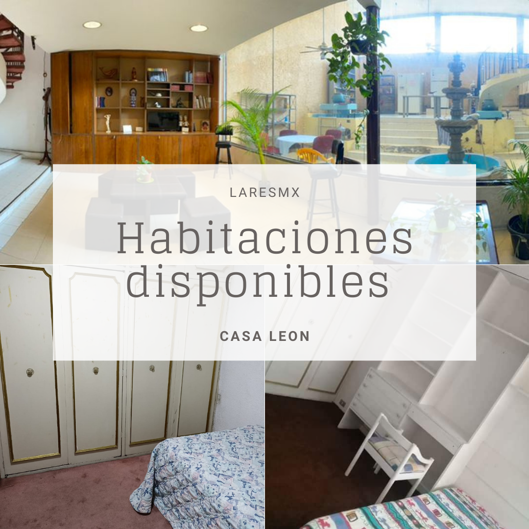 Casa León 🦁 gallery 8