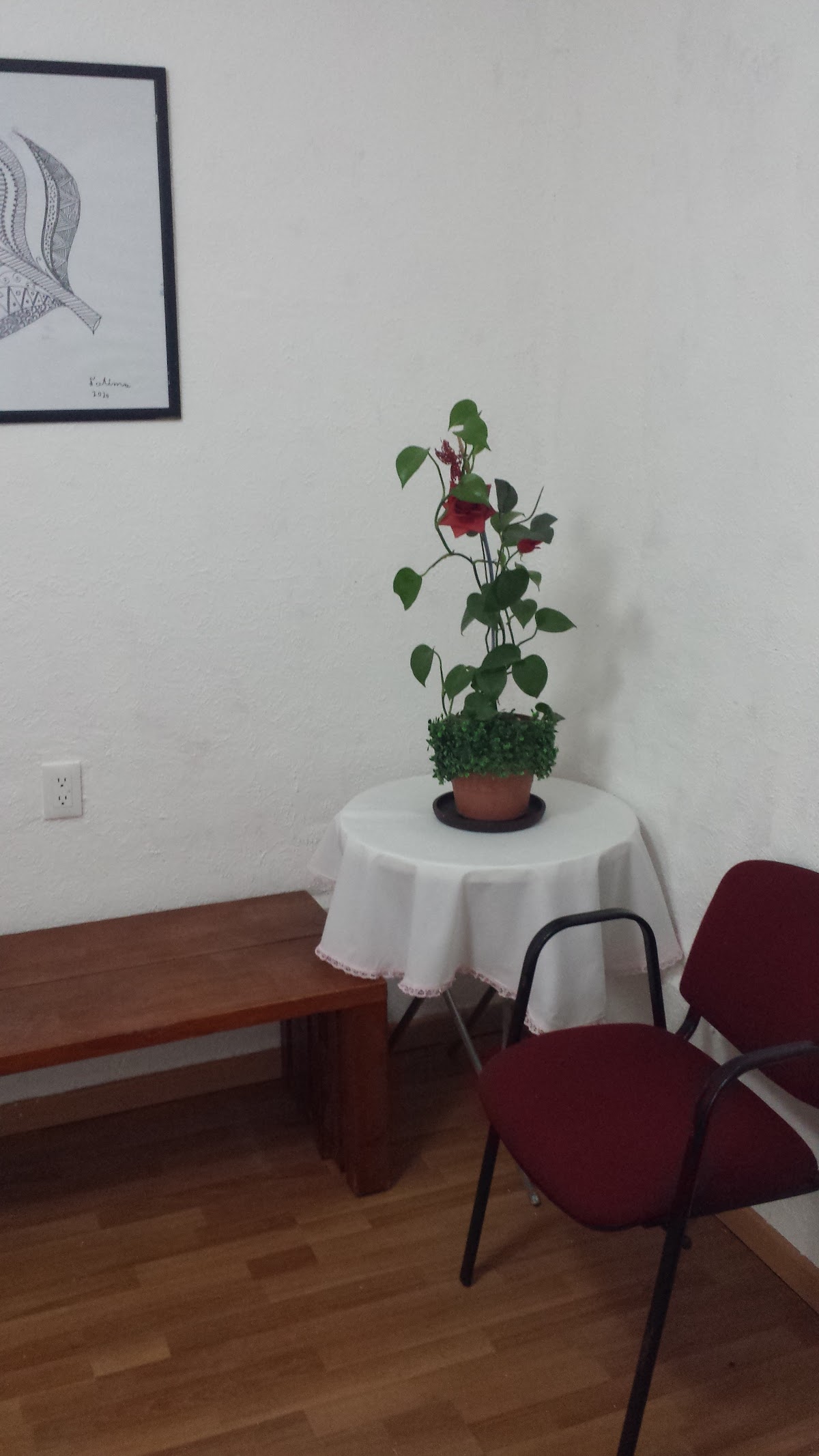 Casa de Huéspedes Chelita gallery 4