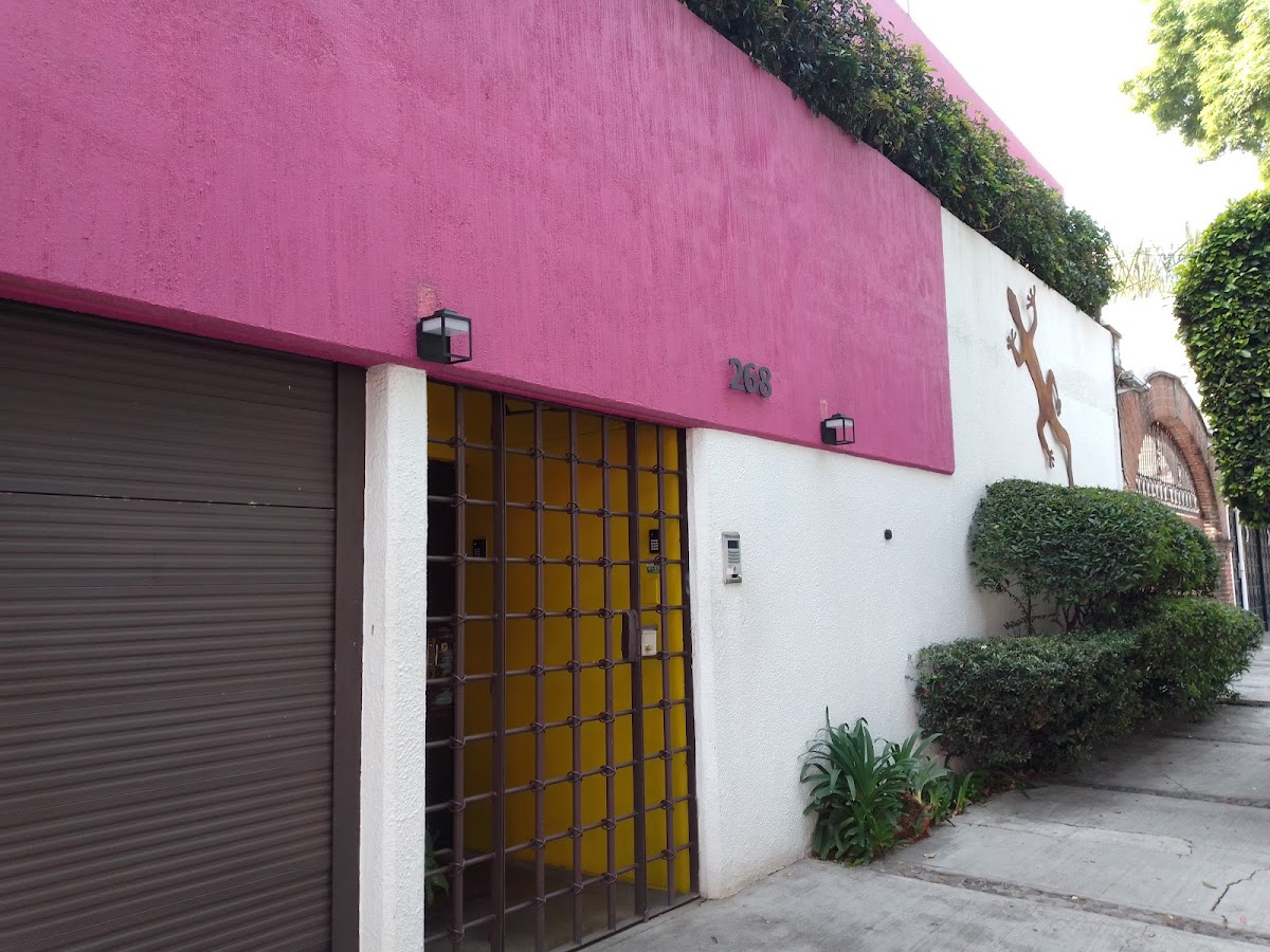 Hostal Cuija Coyoacan gallery 3