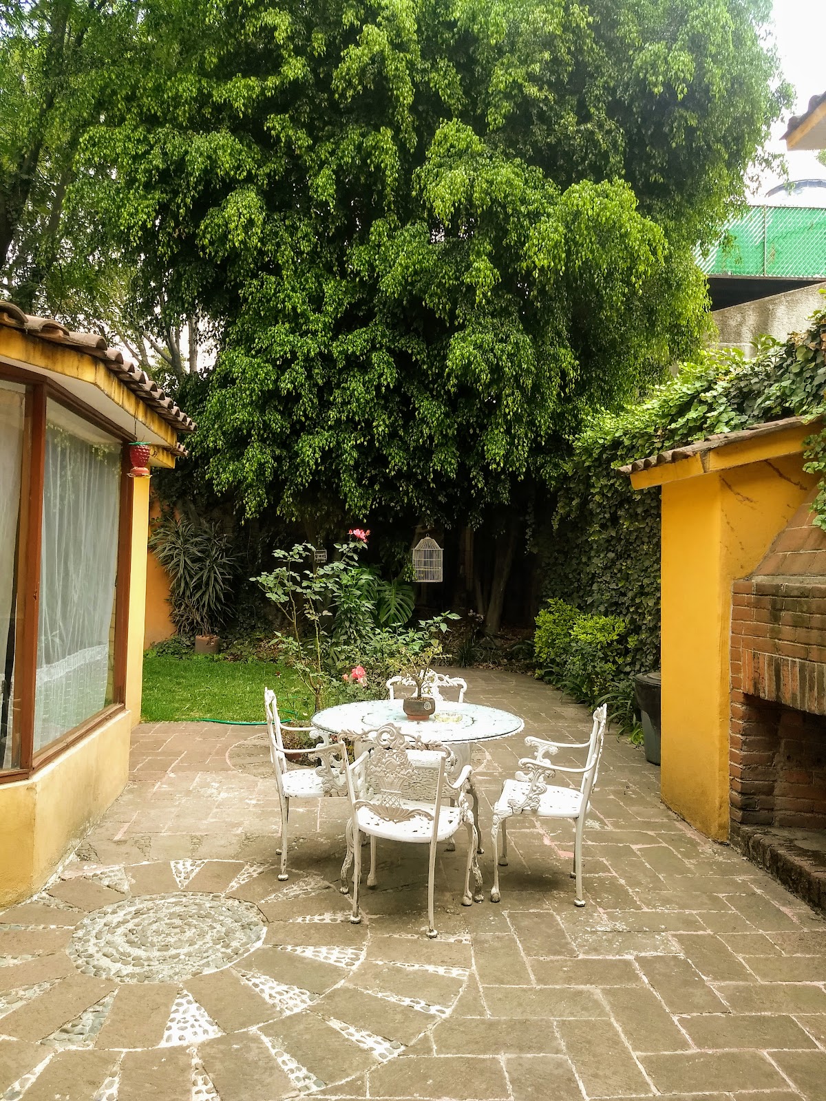 Hostal Cuija Coyoacan gallery 4
