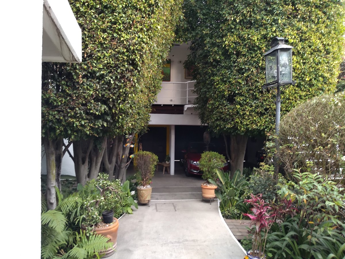 Hostal Cuija Coyoacan gallery 5