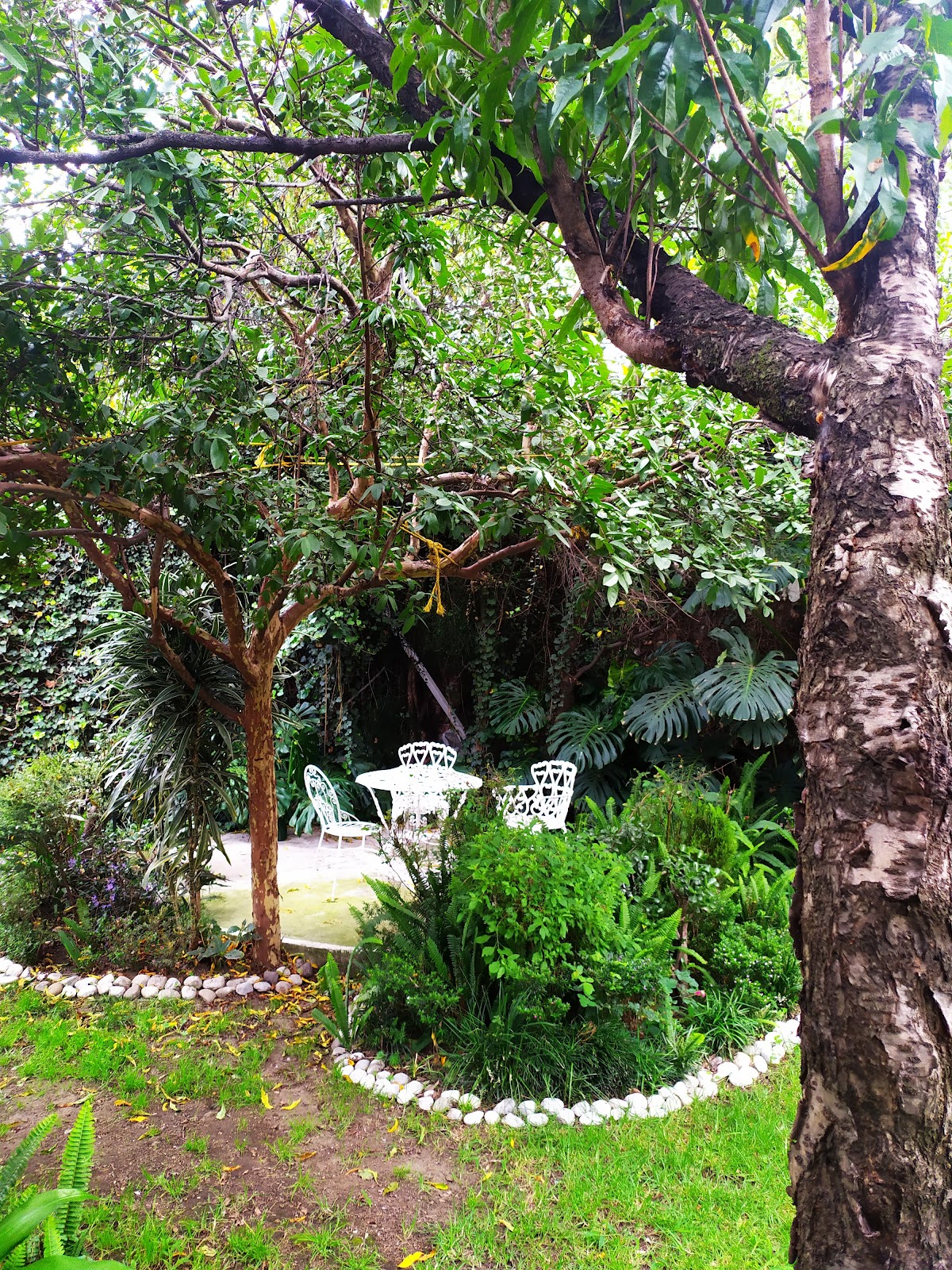 Hostal Cuija Coyoacan gallery 8