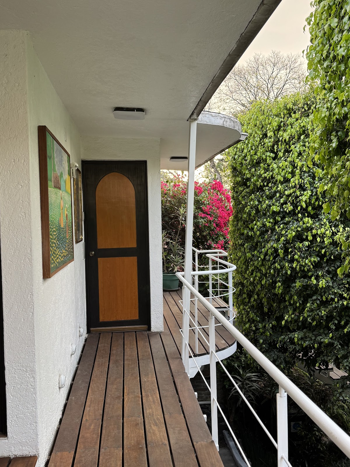 Hostal Cuija Coyoacan gallery 9