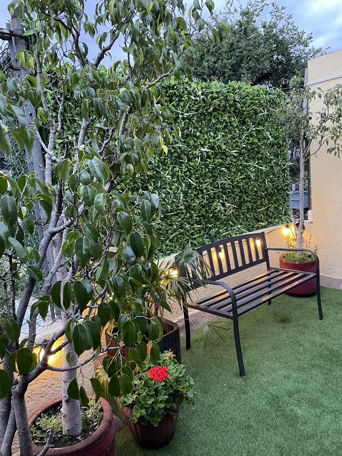 Hostal 109 Roma - Condesa gallery 5