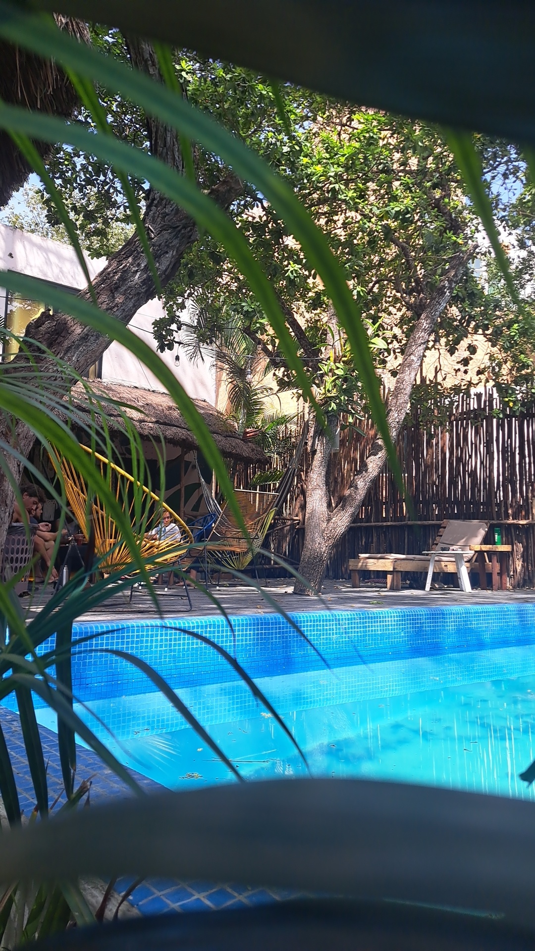 Maui Hostel Tulum gallery 3