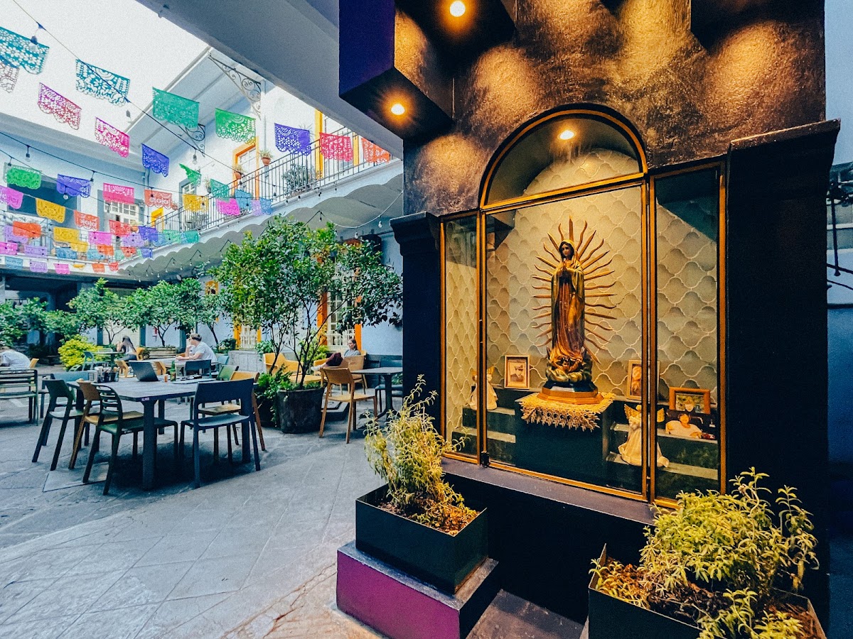 Viajero CDMX Centro Hostel gallery 6