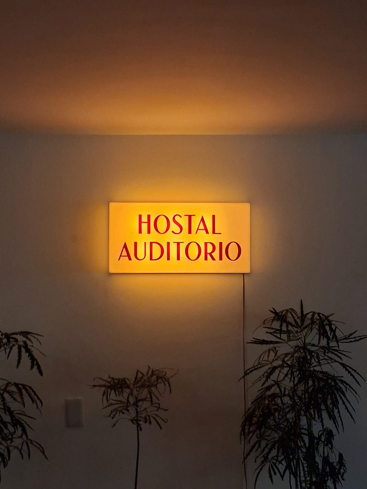 Hostal Auditorio gallery 4