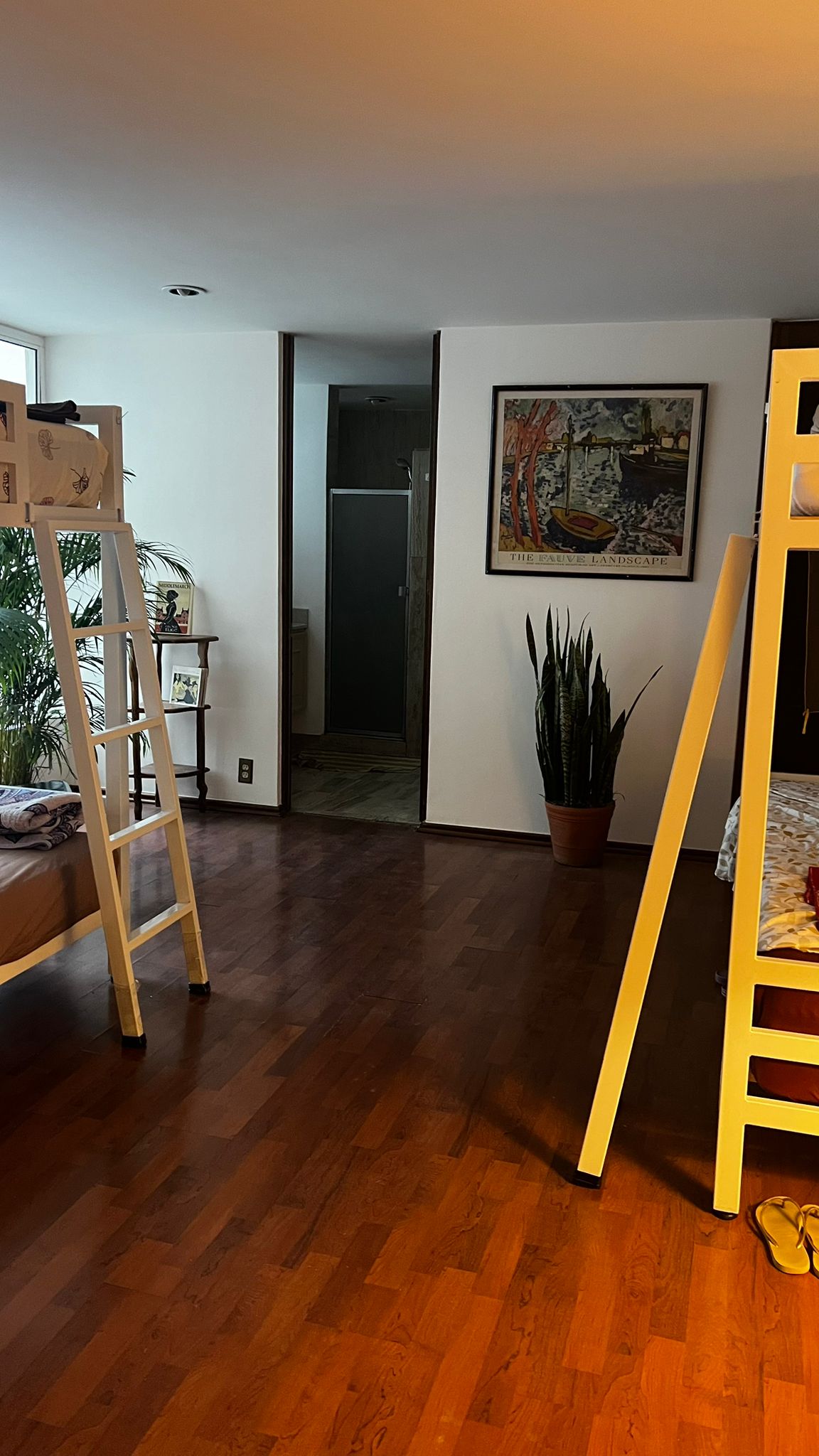 Hostal Auditorio gallery 5