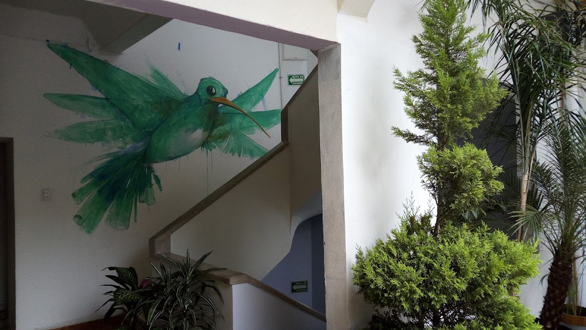 Hostel Oasis Centro gallery 6