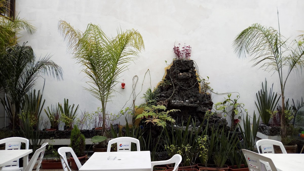 Hostel Oasis Centro gallery 7