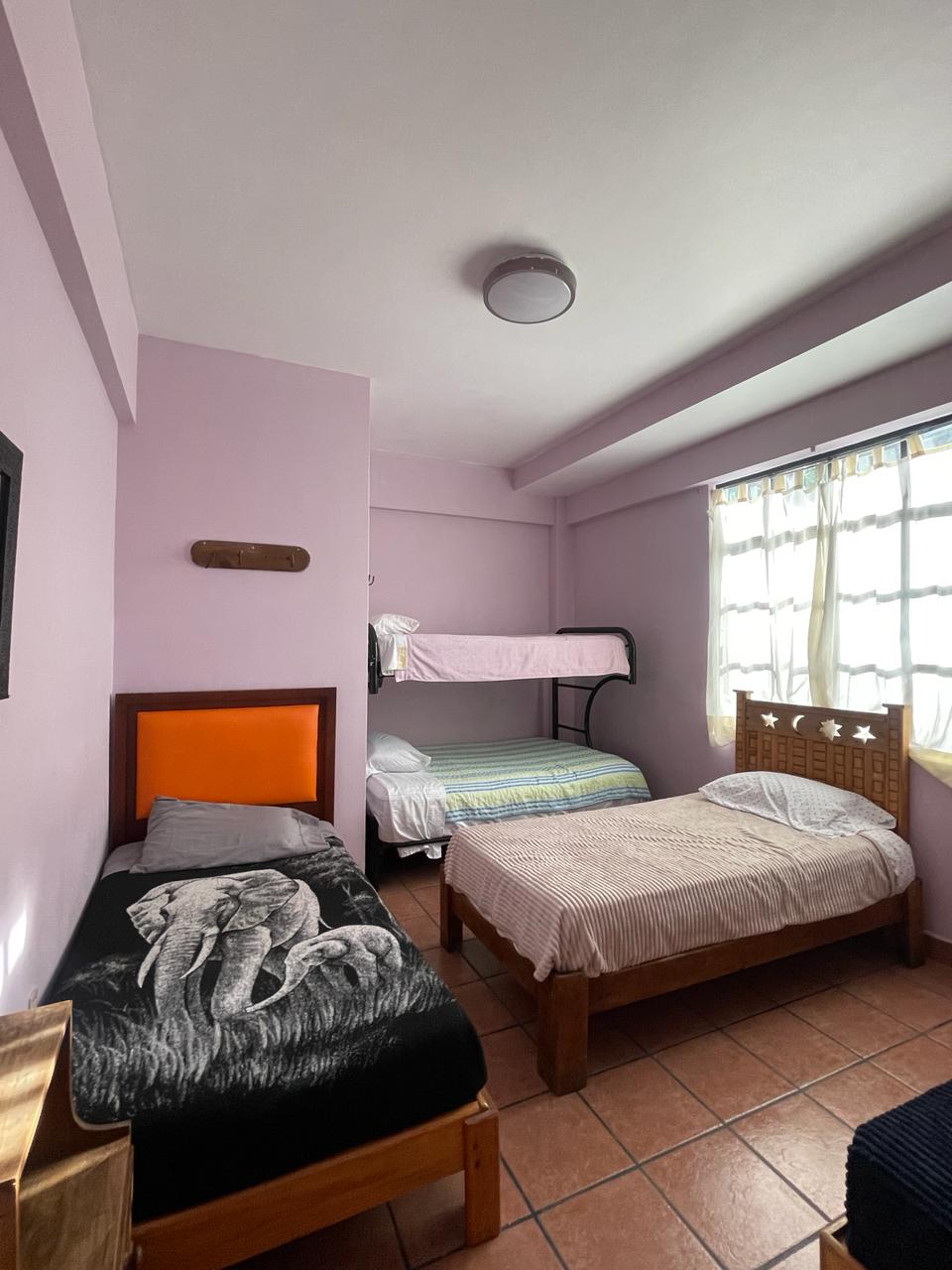 Hostal San Fernando gallery 2