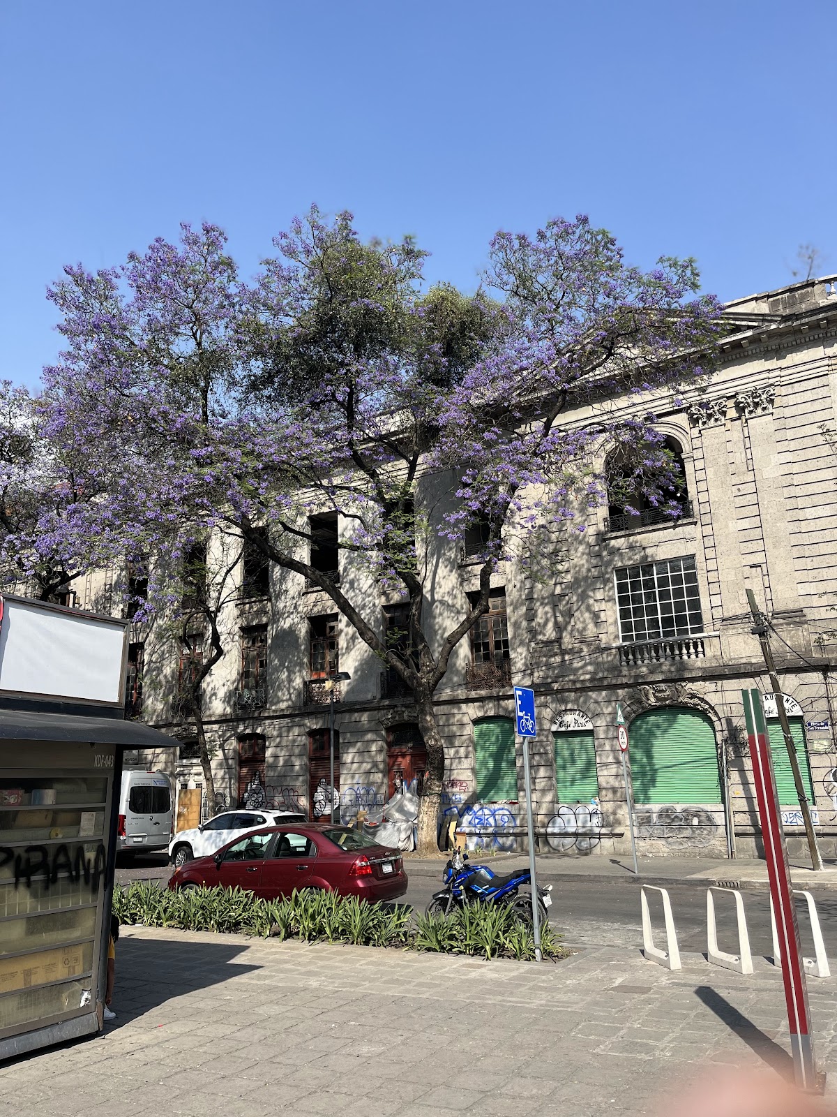 Hostal San Fernando gallery 5