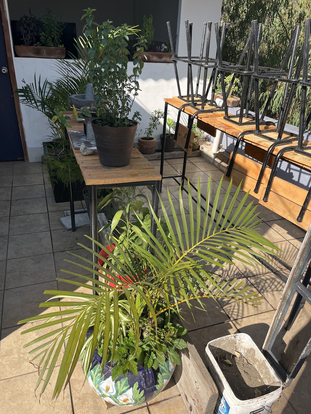 Hostal San Fernando gallery 8