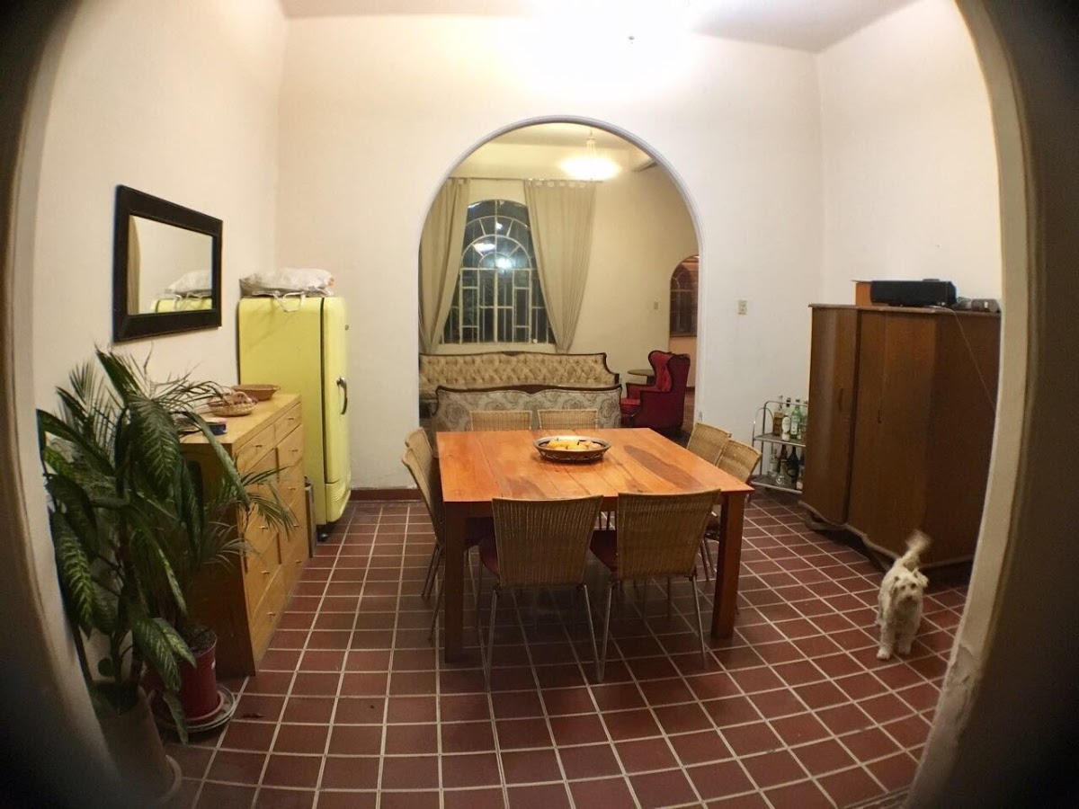 Casa Rosa Condesa gallery 6