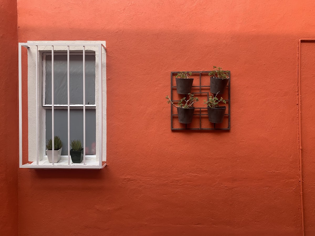 Colonial Villa Coyoacan cover