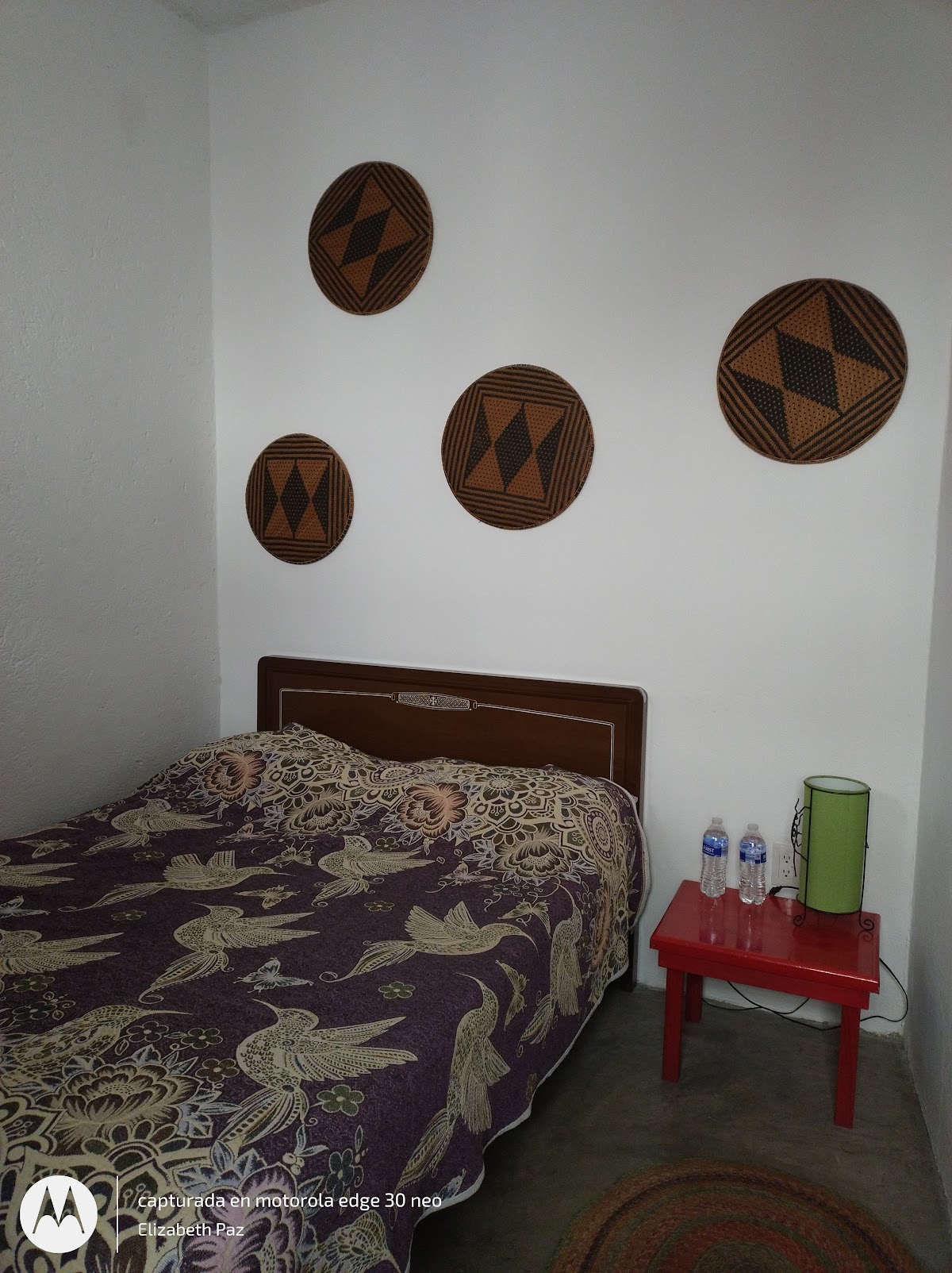 Colibri B&B gallery 8