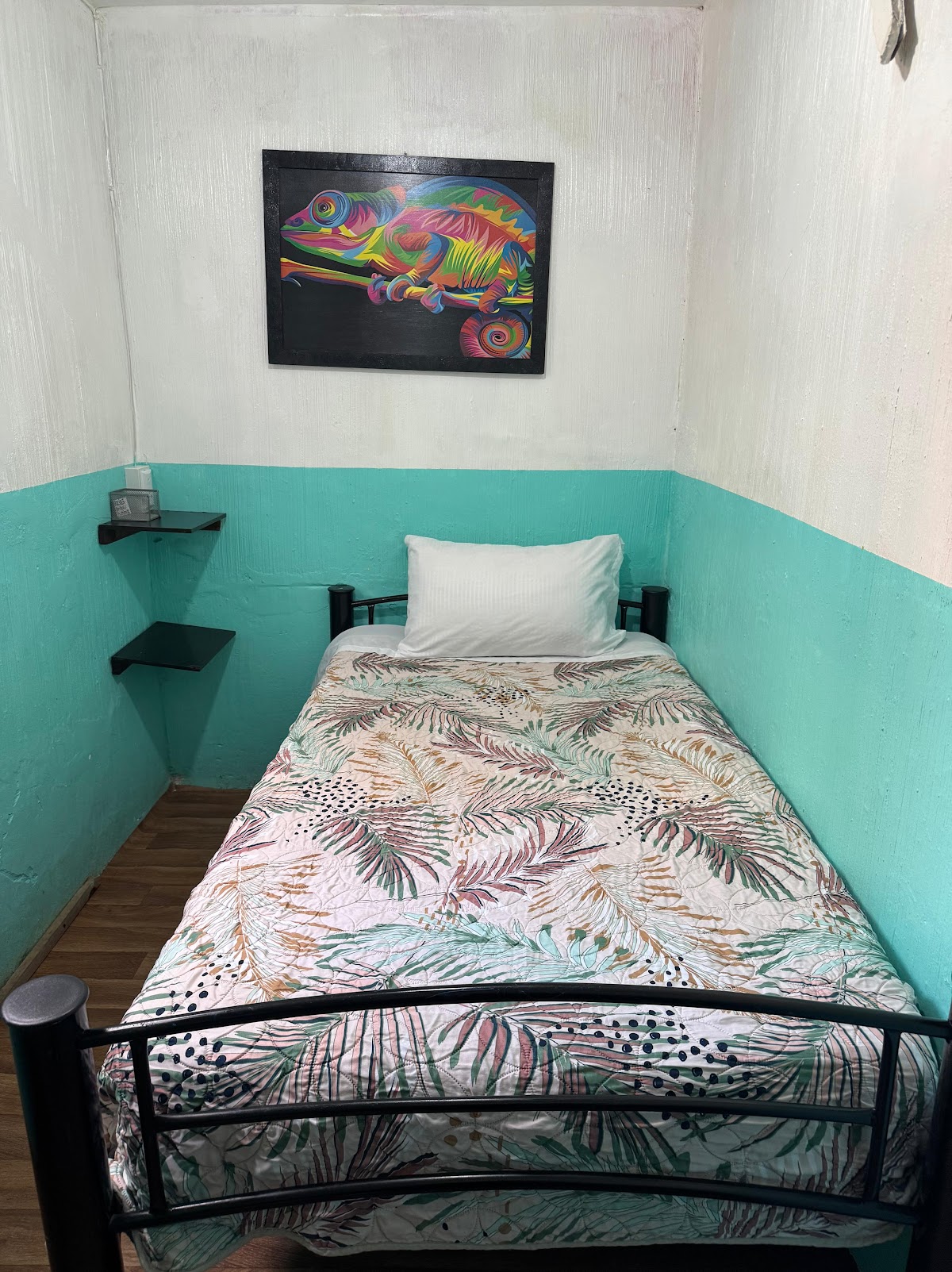 Aló México gallery 4