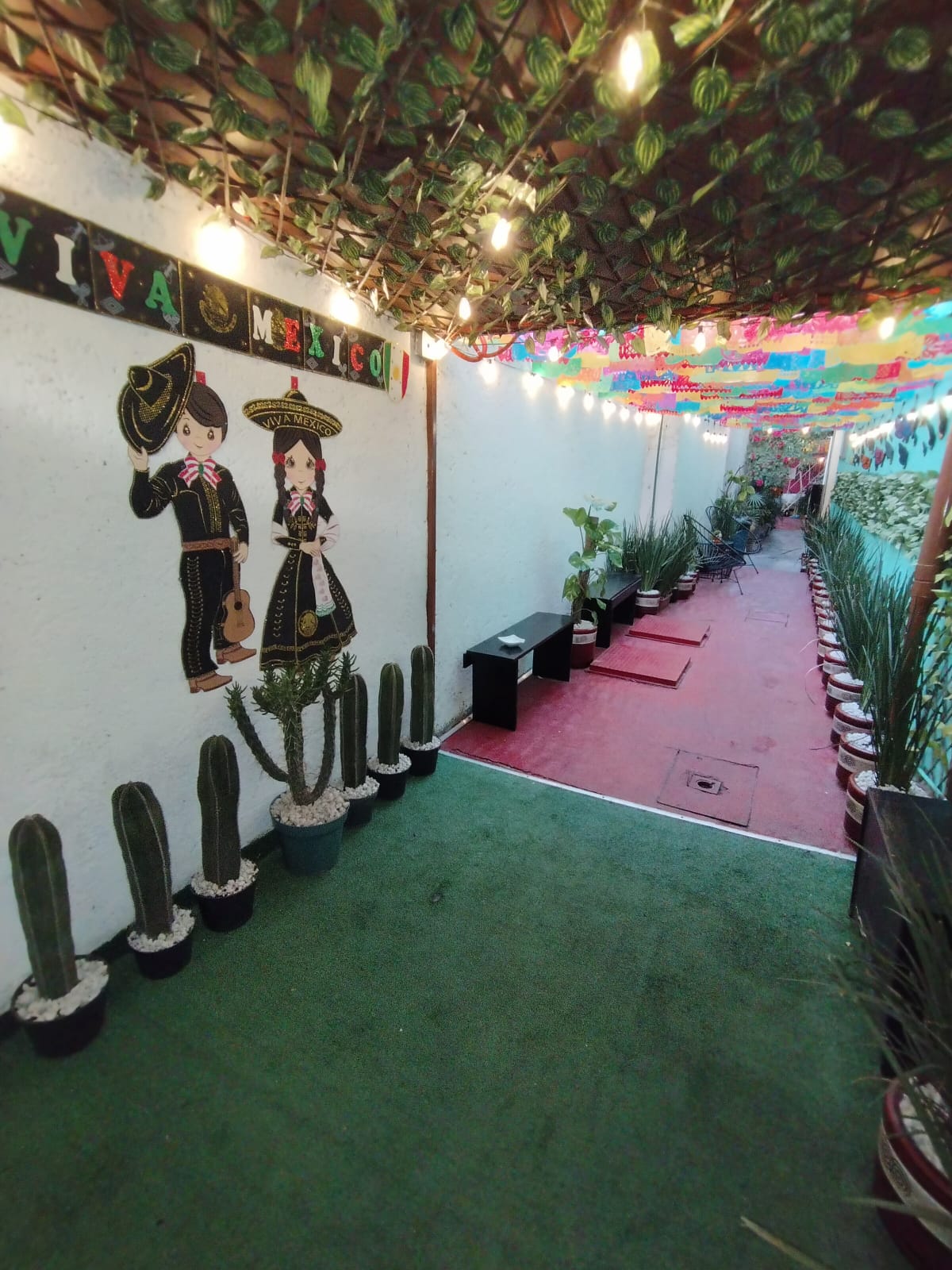 Aló México gallery 6