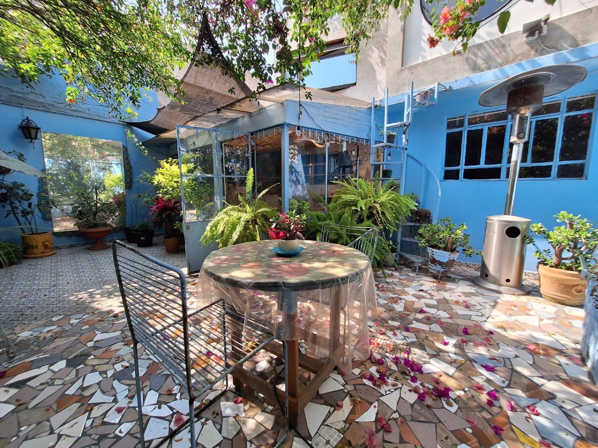Punto DF gallery 4