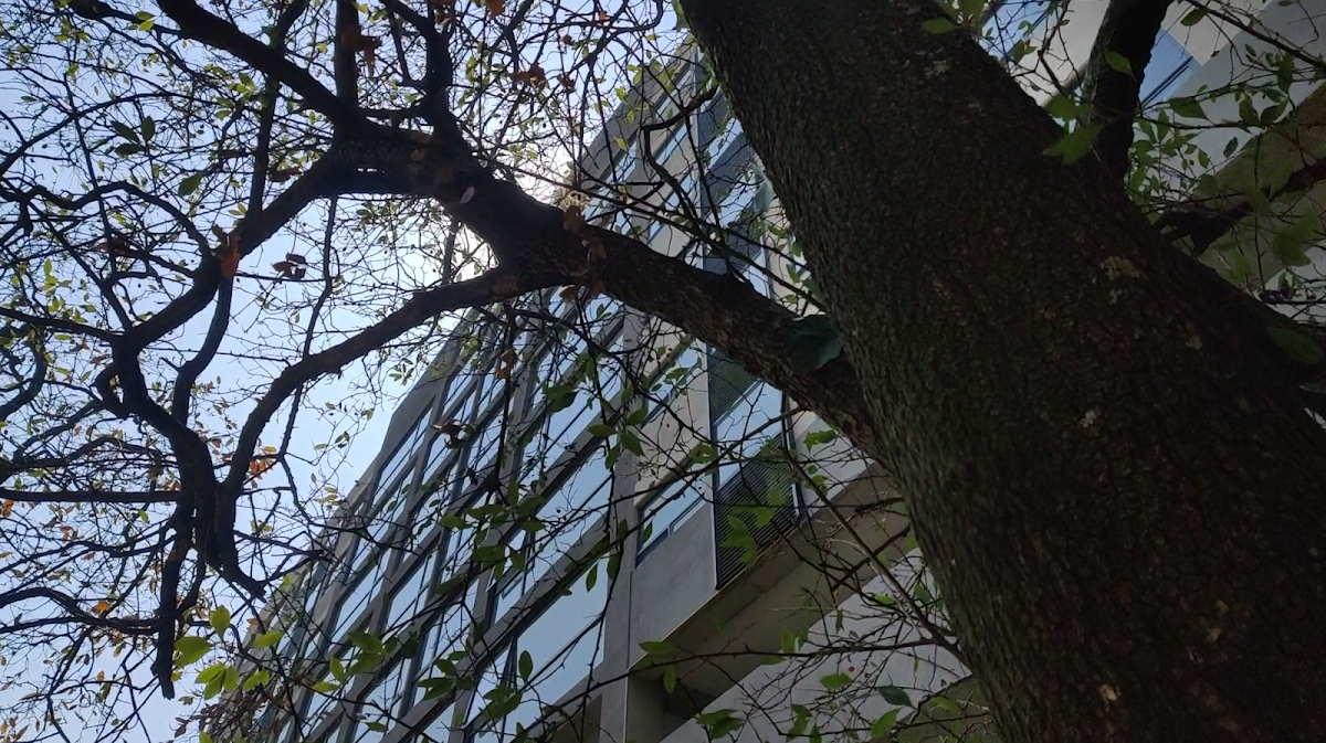Altavista Residencial gallery 4