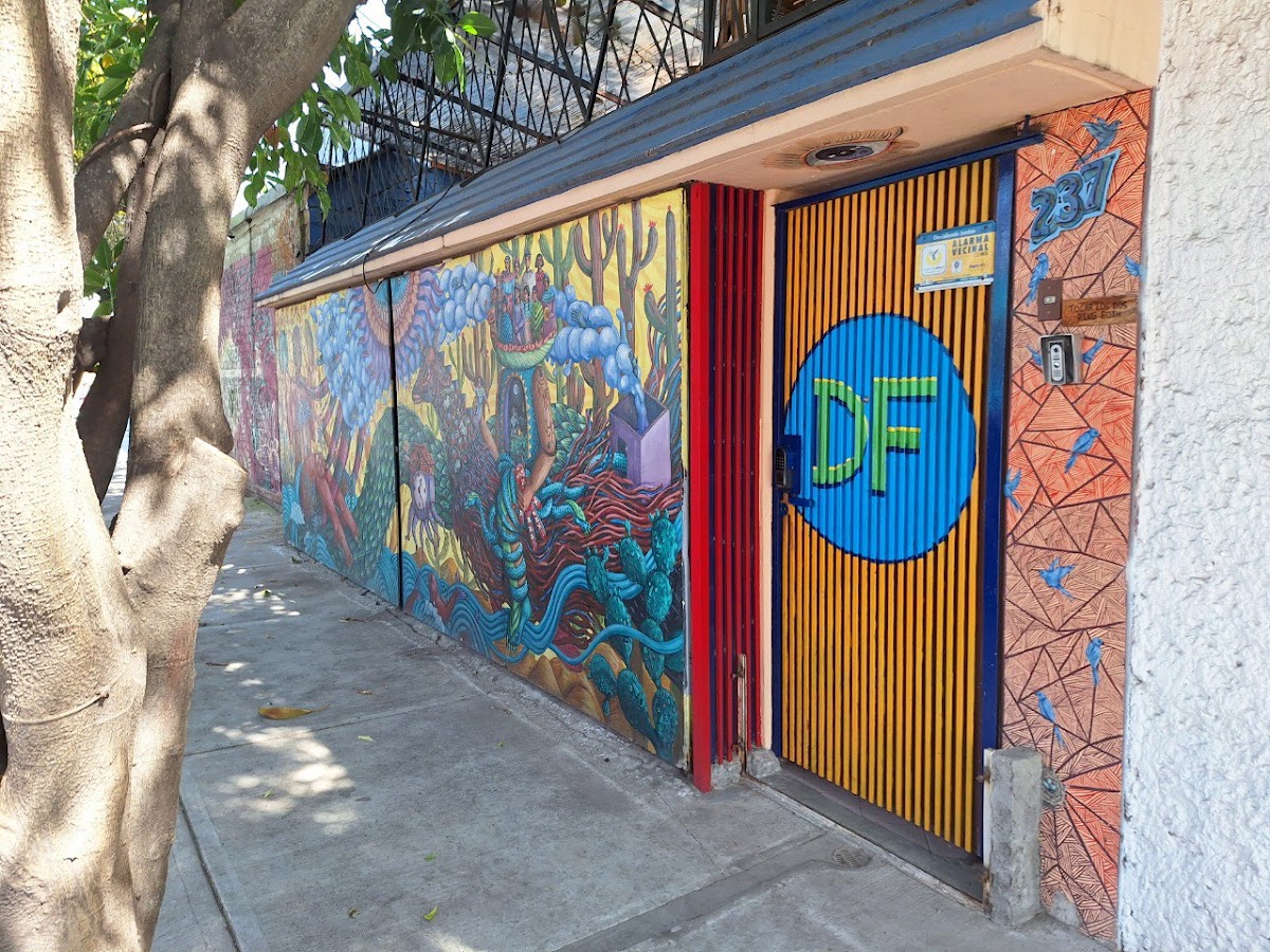 Punto DF gallery 8