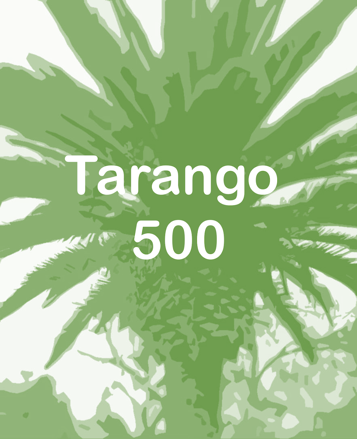Tarango 500 gallery 2