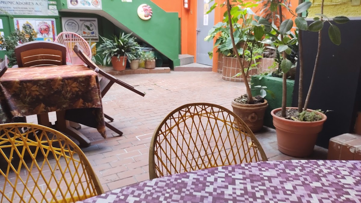 Casa de los Amigos cover