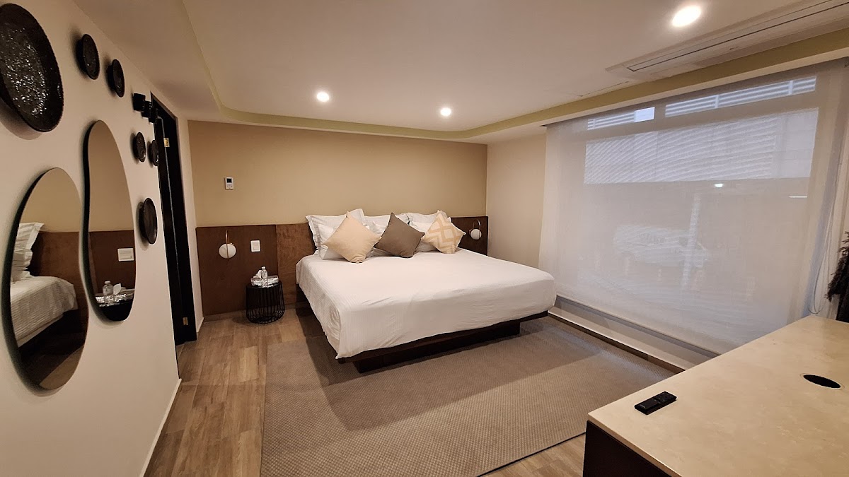 Grand Chapultepec Residencial gallery 4