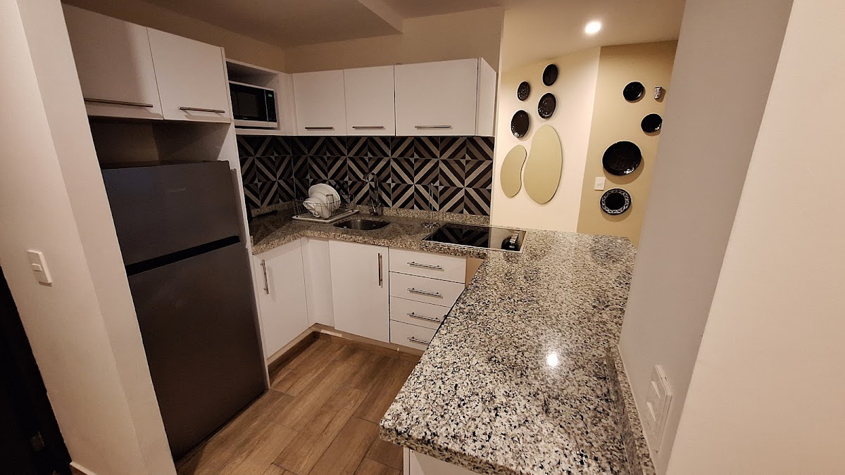 Grand Chapultepec Residencial gallery 9