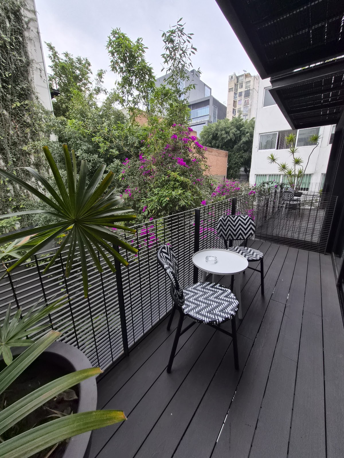MX Grand Suites by The Human Collection Hotels cover