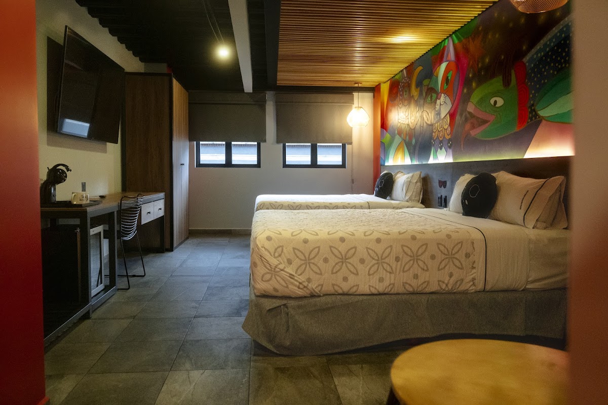 Barrio Downtown Mexico City Hostel gallery 5