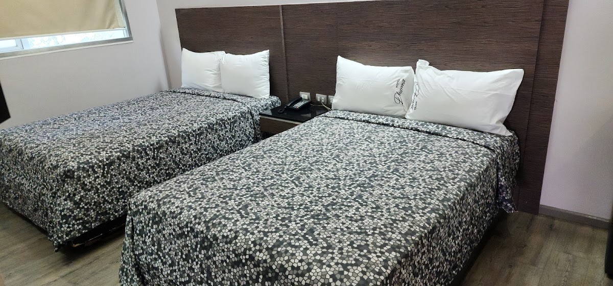 Hotel Dharma gallery 6