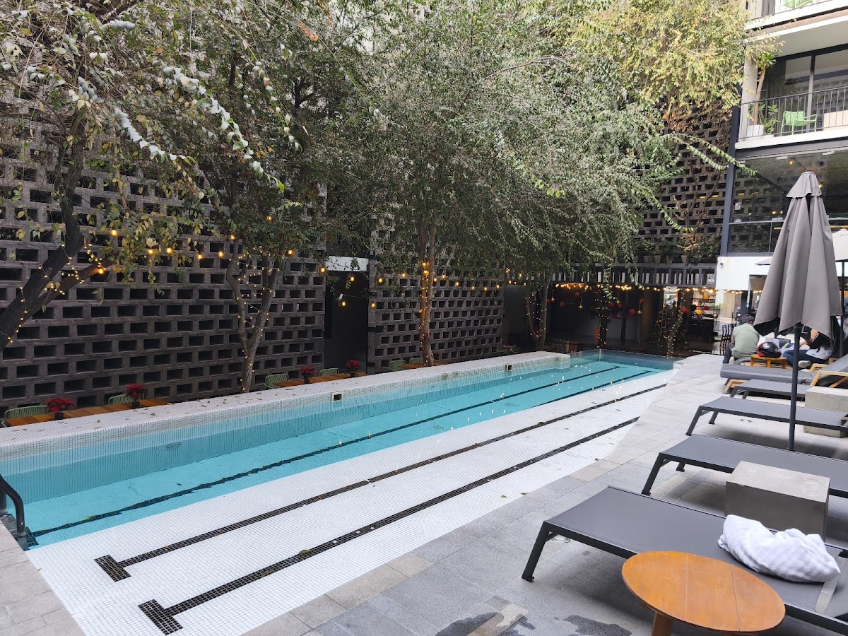 Hotel Carlota gallery 3