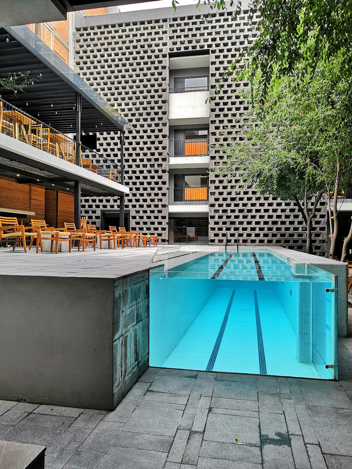 Hotel Carlota gallery 4