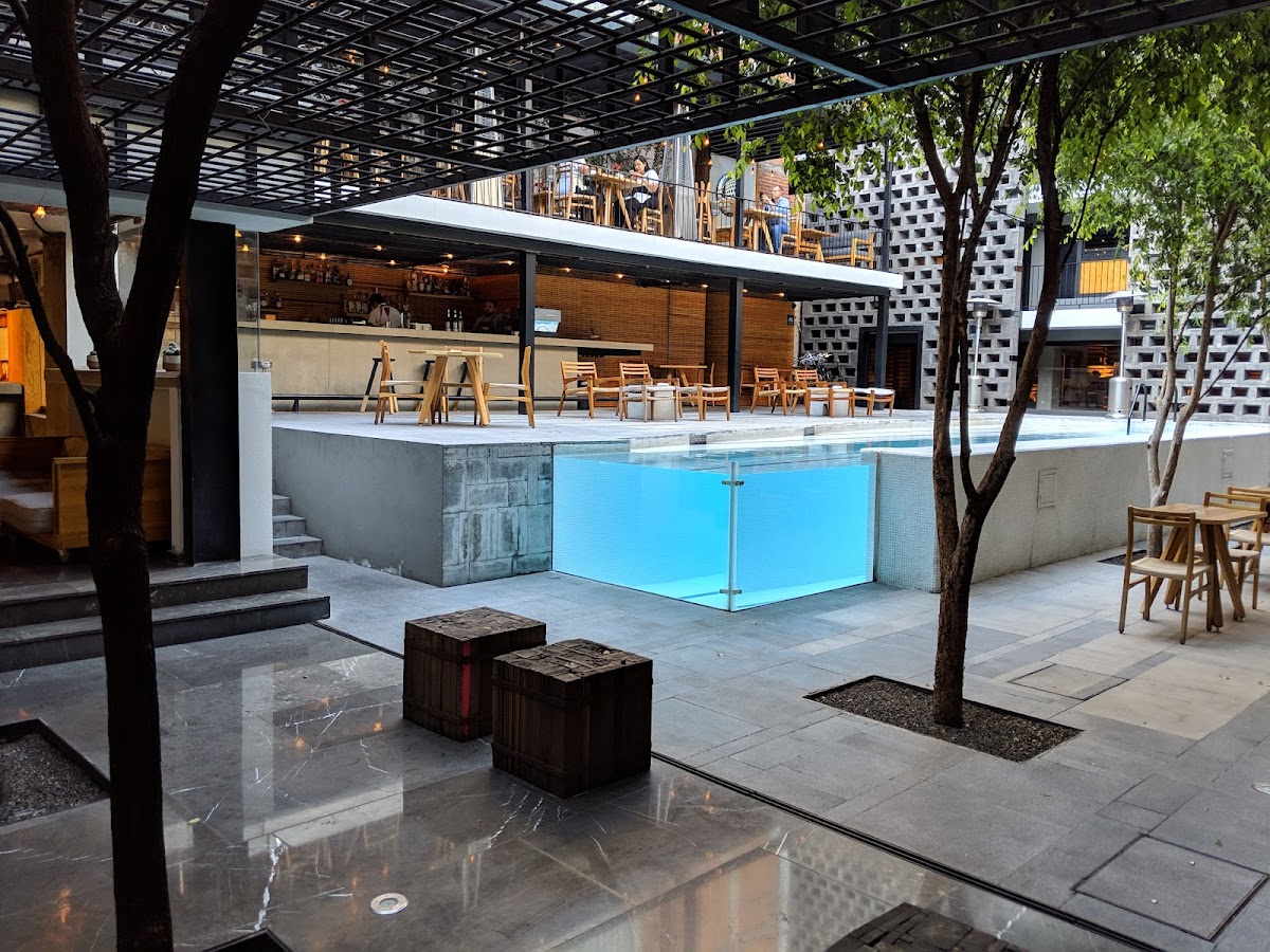 Hotel Carlota gallery 6