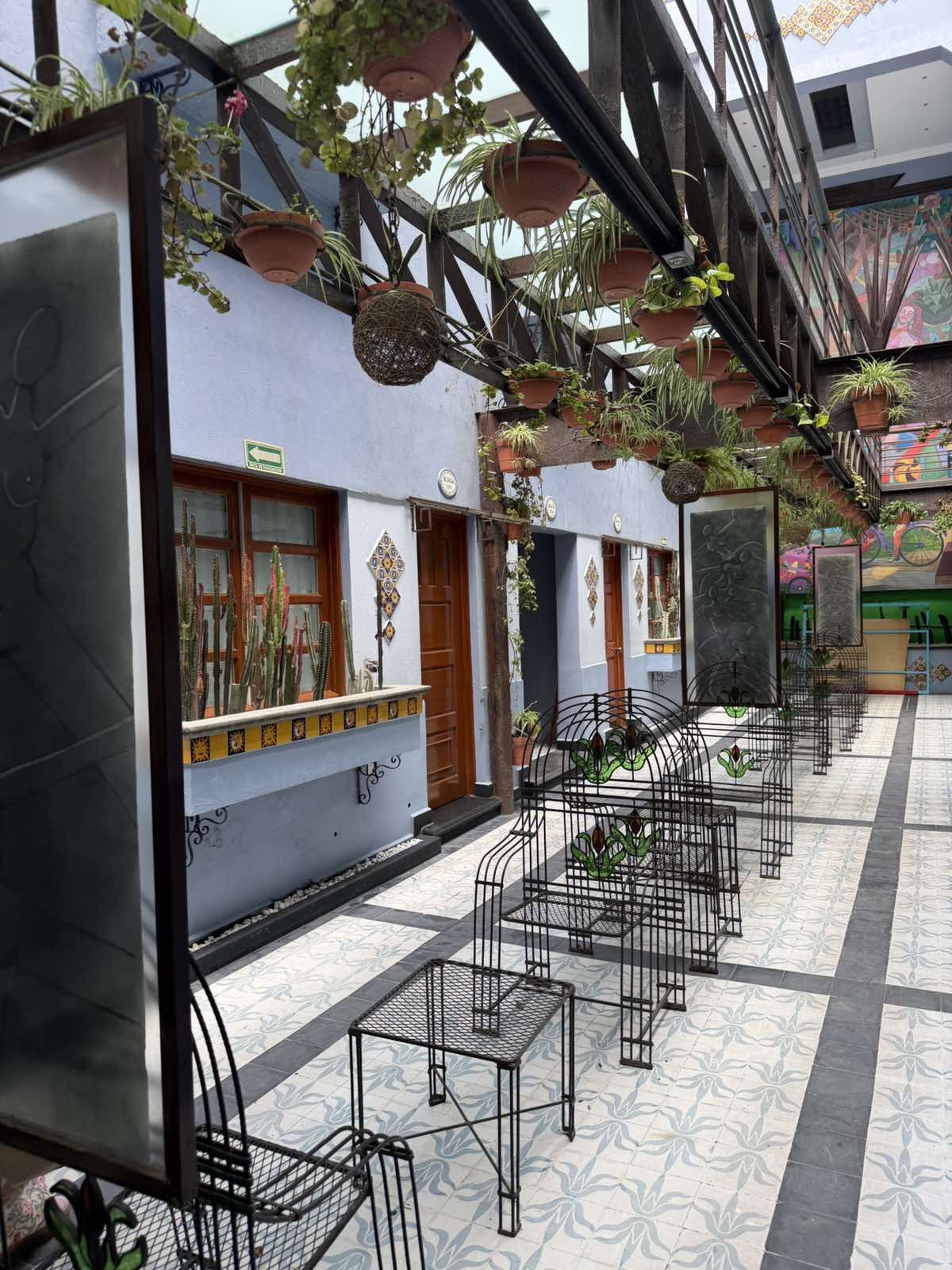 Terraza y Hotel Parque México Boutique gallery 7