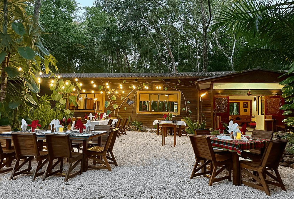 Mariposa Jungle Lodge cover